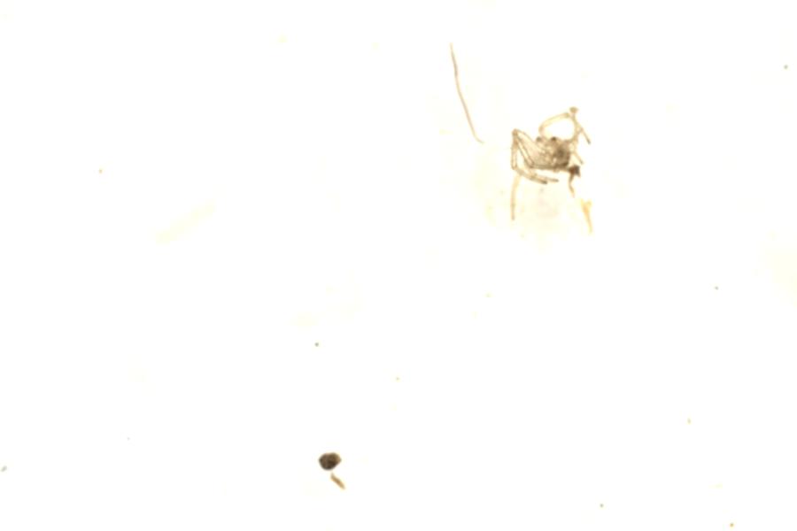 Image 104
